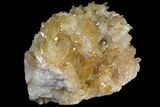 Quartz Crystal Cluster ( lbs) - Brazil #121411-8